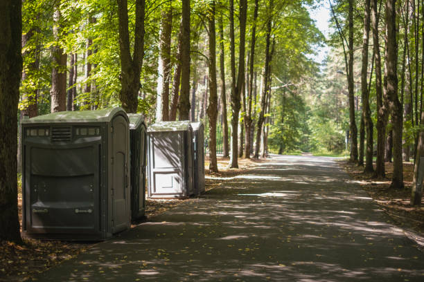 Best Porta potty rental near me  in Houghton, NY